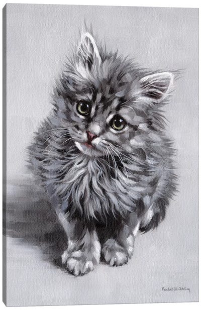 Minnie Canvas Art Print - Kitten Art