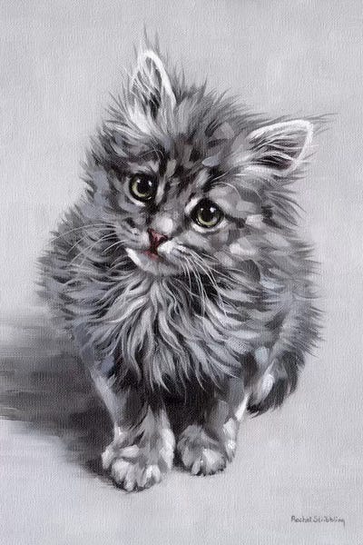 Kittens: Minnie by Rachel Stribbling