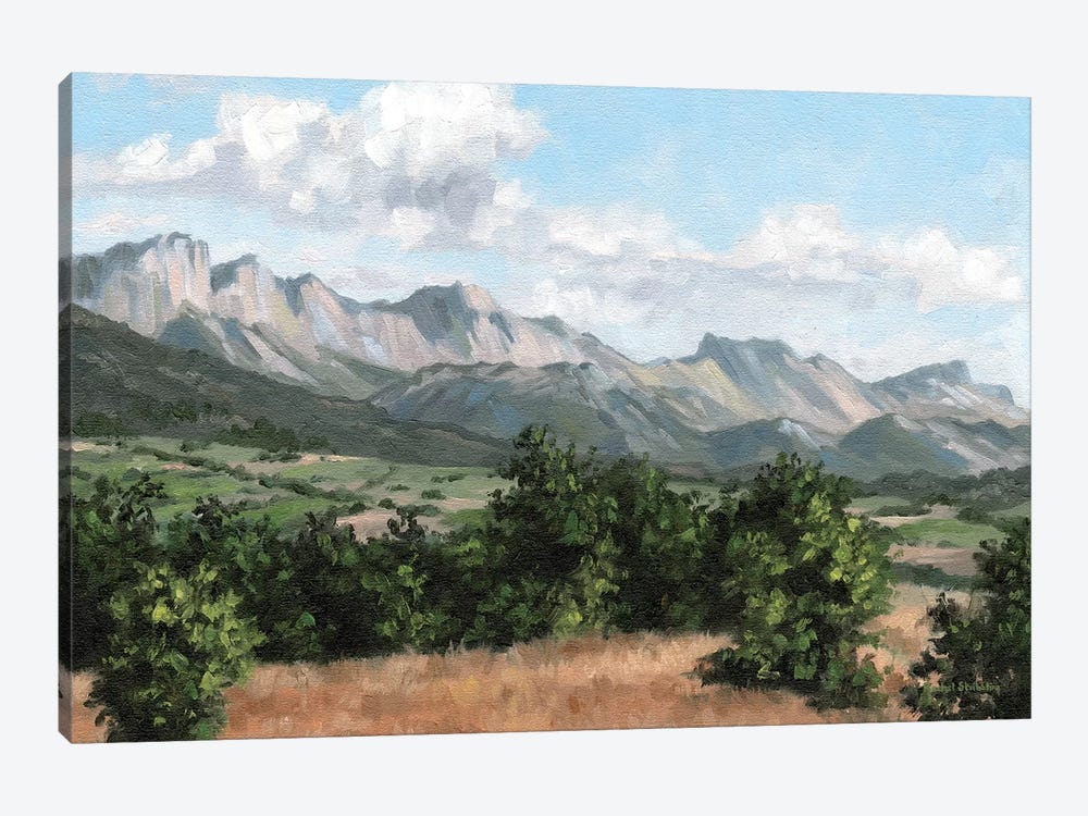 Mountain Landscape by Rachel Stribbling 1-piece Canvas Wall Art
