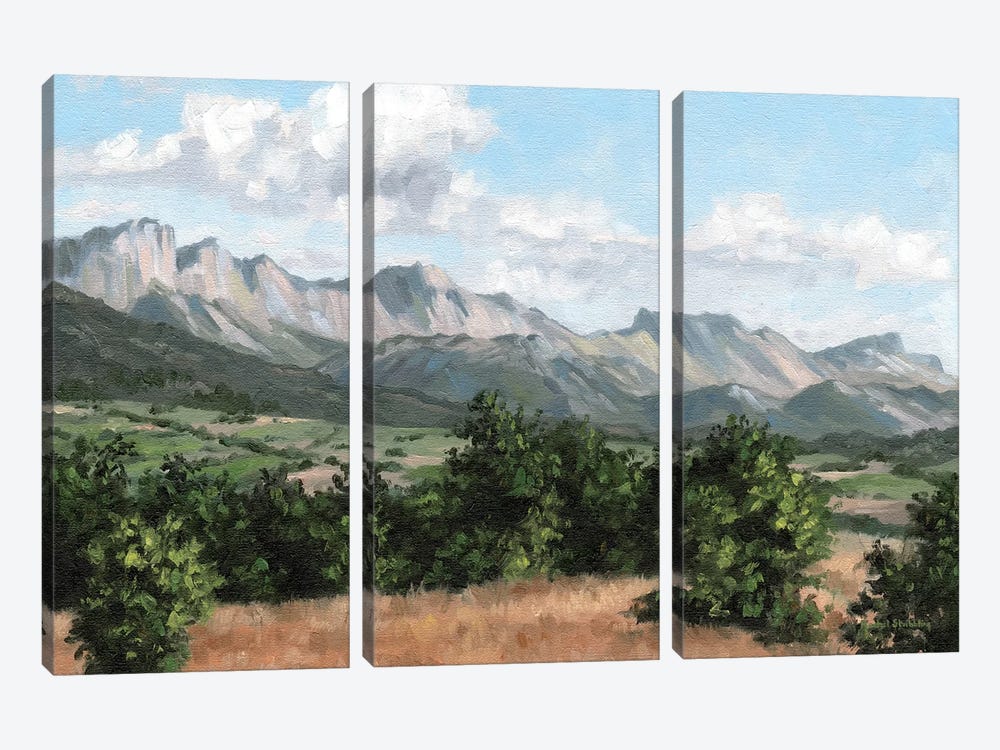 Mountain Landscape by Rachel Stribbling 3-piece Canvas Wall Art