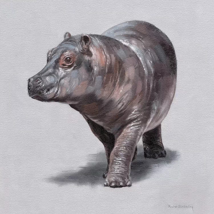 Wilma by Rachel Stribbling wall art