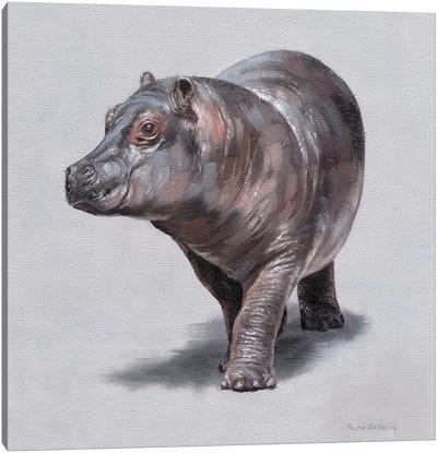 Wilma Canvas Art Print - Hippopotamus Art
