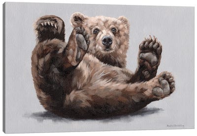 Betsy Canvas Art Print - Brown Bear Art