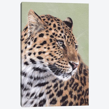 Leopard Canvas Print #SLG79} by Rachel Stribbling Canvas Art Print