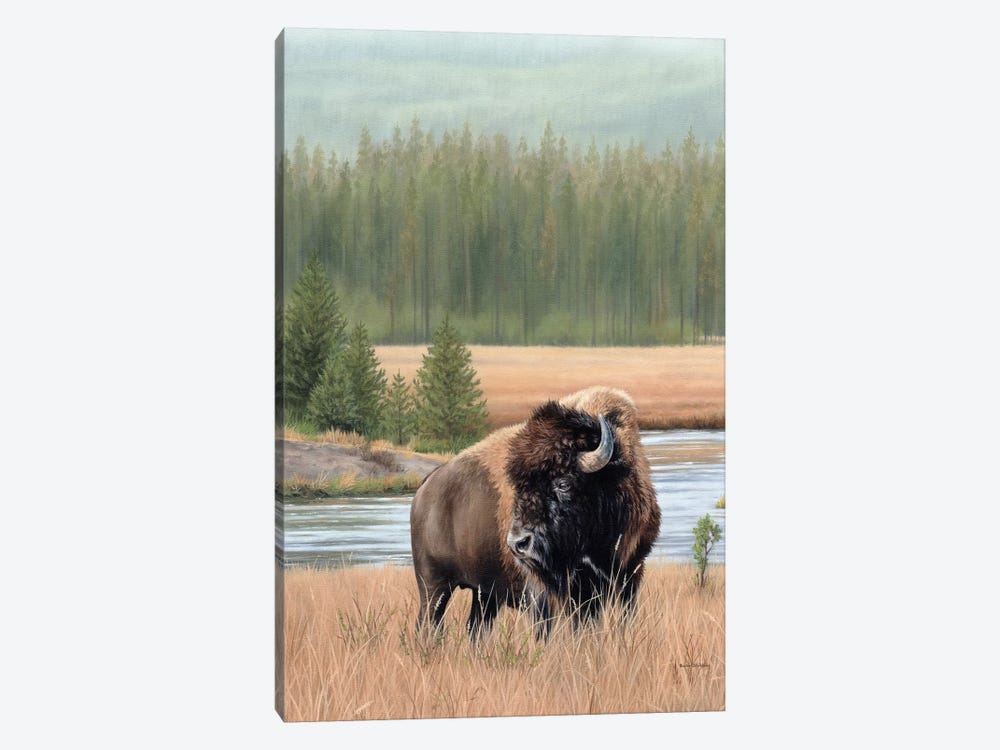 American Bison by Rachel Stribbling 1-piece Art Print