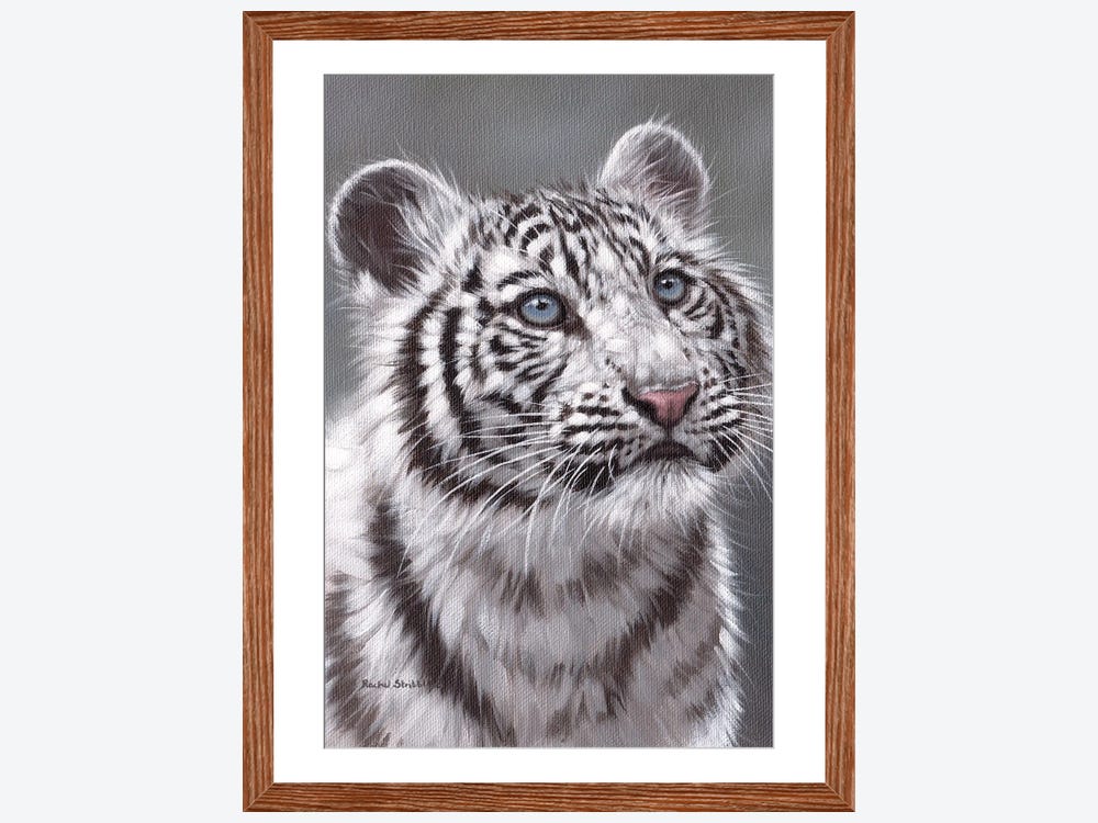 White Tiger Cub Plastic Canvas Pattern