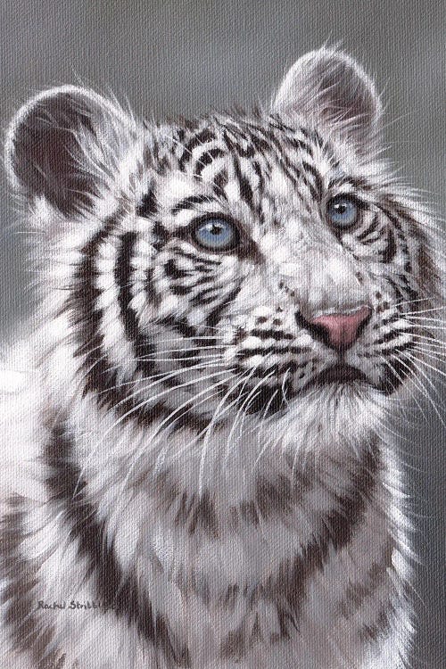 White Tiger Cub