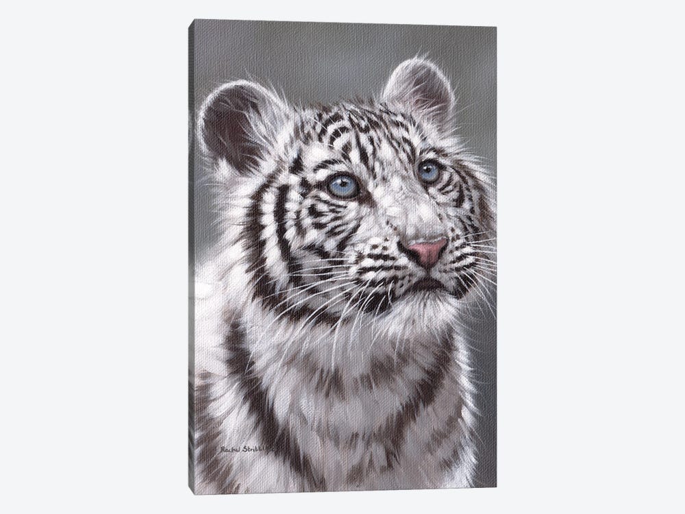 White Tiger Cub by Rachel Stribbling 1-piece Canvas Artwork