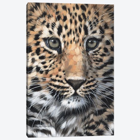 Leopard Cub Canvas Print #SLG81} by Rachel Stribbling Canvas Artwork