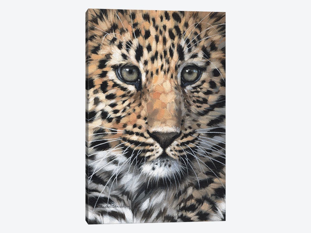 Leopard Cub by Rachel Stribbling 1-piece Art Print