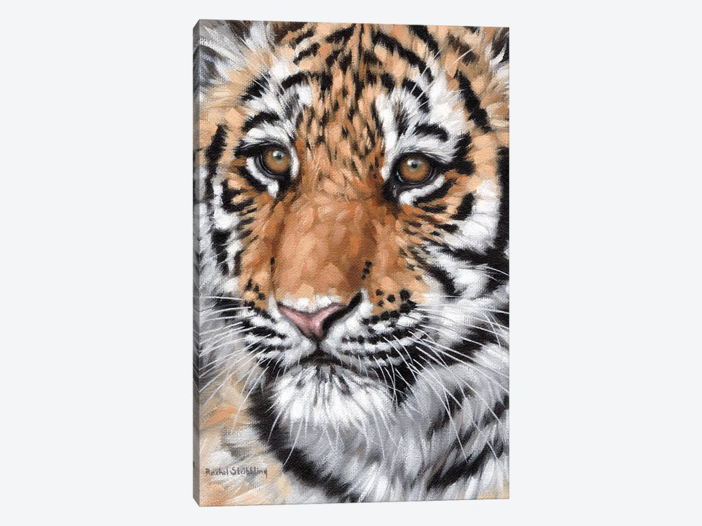 Tiger Cub by Rachel Stribbling 1-piece Canvas Artwork