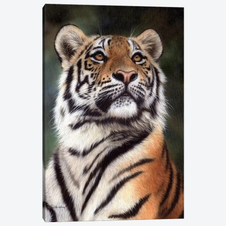Amur Tiger Canvas Print #SLG9} by Rachel Stribbling Canvas Art Print