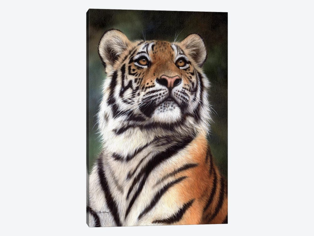 Amur Tiger by Rachel Stribbling 1-piece Art Print