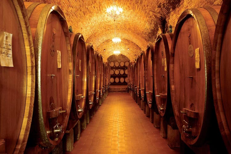 Chianti Classico by Shelley Lake wall art