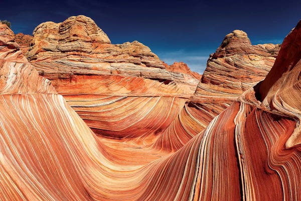 Canyons: Courage by Shelley Lake