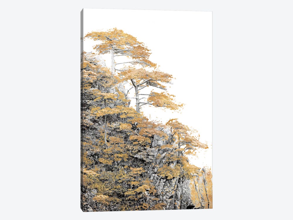 Immortal Pine by Shelley Lake 1-piece Canvas Art
