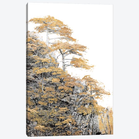 Immortal Pine Canvas Print #SLK22} by Shelley Lake Canvas Artwork