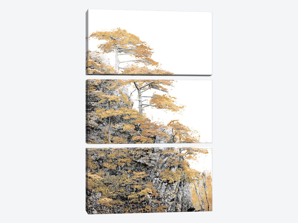 Immortal Pine by Shelley Lake 3-piece Canvas Wall Art