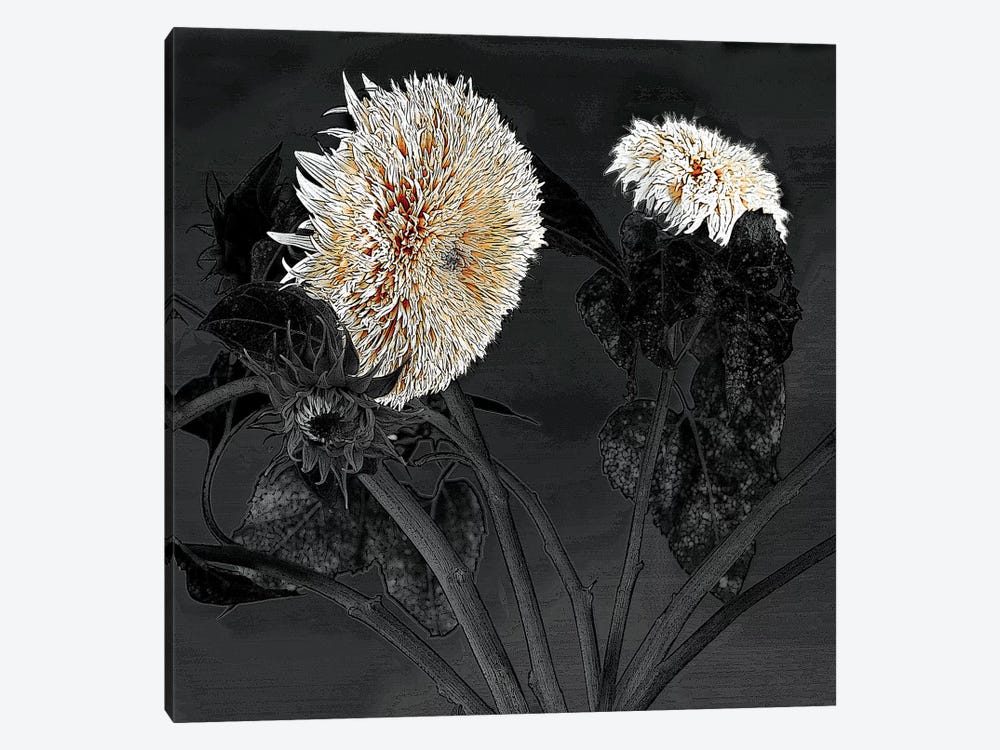 Sunflowers I by Shelley Lake 1-piece Art Print