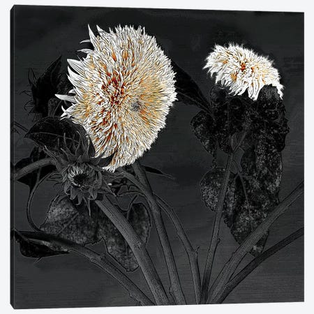 Sunflowers I Canvas Print #SLK36} by Shelley Lake Canvas Artwork