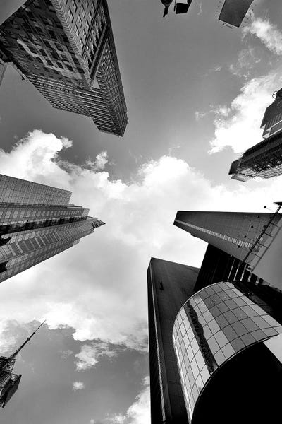 Zenith by Shelley Lake framed wall art