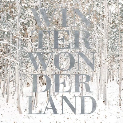 Winter Wonderland by Shelley Lake canvas print