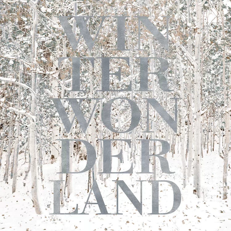 Winter Wonderland by Shelley Lake wall art