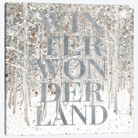 Winter Wonderland Canvas Print #SLK43} by Shelley Lake Canvas Wall Art