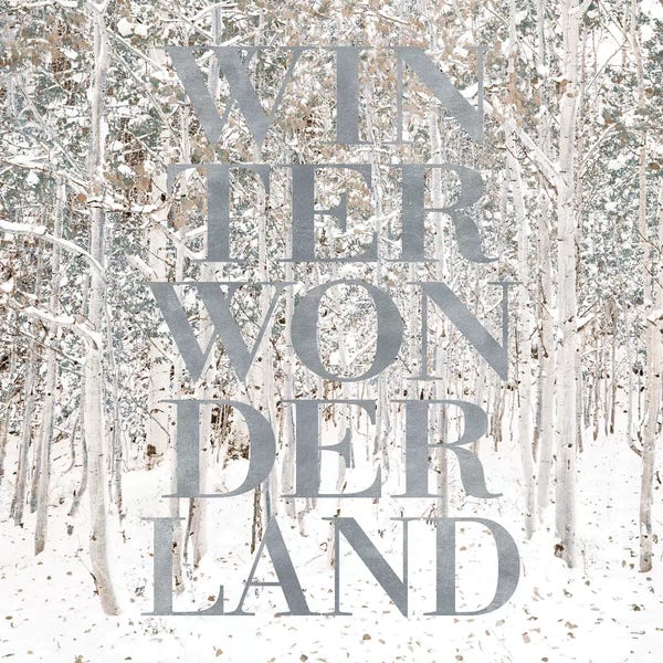 Shelley Lake: Winter Wonderland by Shelley Lake