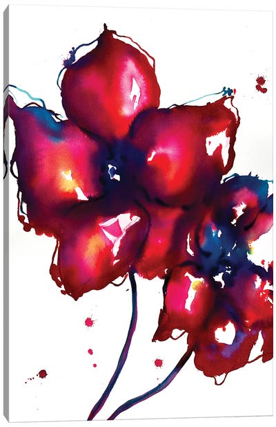 Bold Flowers I Canvas Art Print - Sonia Stella