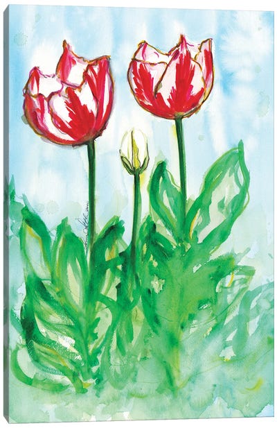 Tulips In The Wind Watercolor By Soniastella Canvas Art Print - Sonia Stella