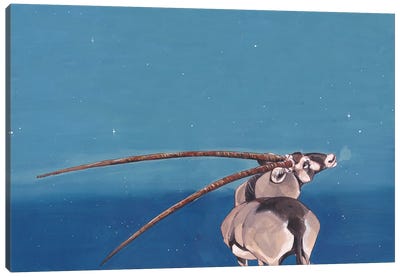 Gemsbok Canvas Art Print - Antelope Art