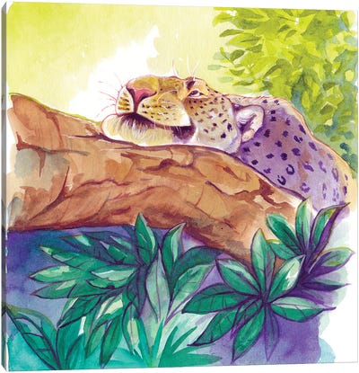 Leopard Tree Canvas Art Print - Jungles