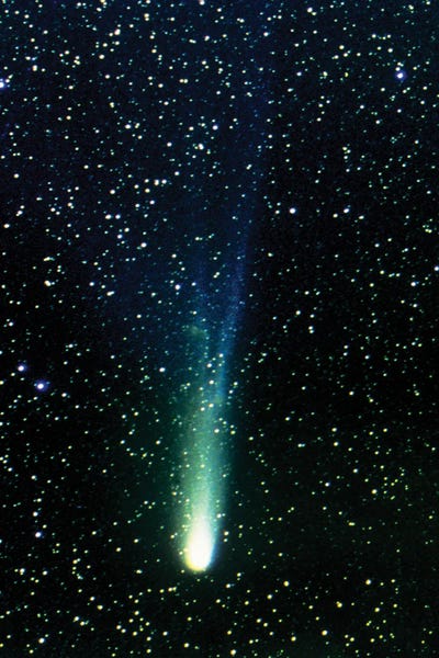 Optical Photograph Of Halley's Comet