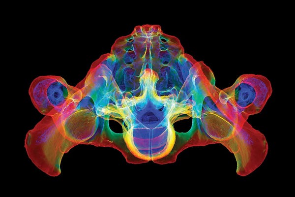 Science Photo Library: Pelvis And Lumbar Spine, 3D CT Scan by Science Photo Library