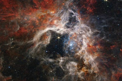 Canvas Print: Tarantula Nebula, James Webb Telescope Image by Science Photo Library - thumbnail