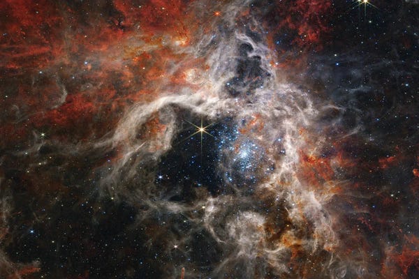 Science Photo Library: Tarantula Nebula, James Webb Telescope Image by Science Photo Library