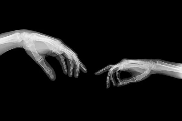 The Creation Of Adam (Michelangelo)