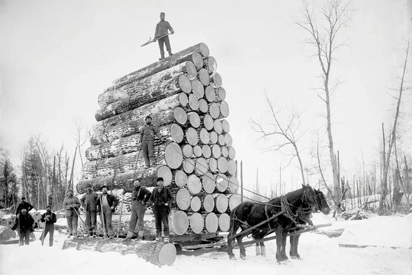 Science Photo Library: Timber Logging, Late 19th Century by Science Photo Library