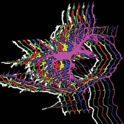 Science Photo Library - Canvas Prints: Brain Activity I, Fluorescence Microscopy by Science Photo Library