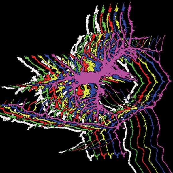 Science Photo Library: Brain Activity I, Fluorescence Microscopy by Science Photo Library
