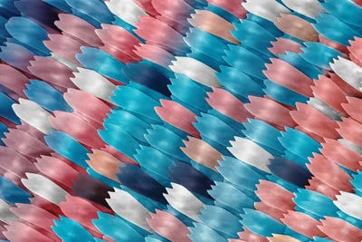 Science Photo Library - Canvas Prints: Butterfly Wing Scales, SEM by Science Photo Library