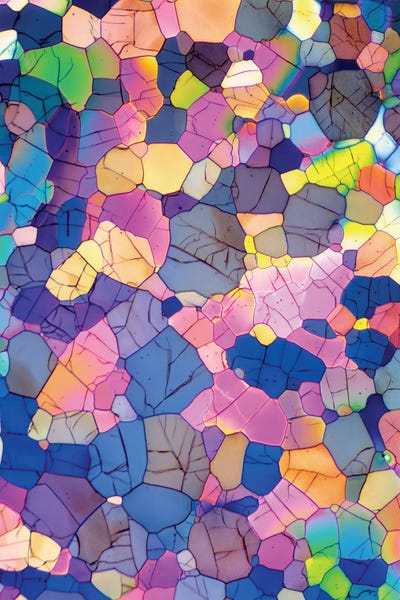 Science Photo Library - Canvas Prints: Caffeine Crystals, Light Micrograph by Science Photo Library