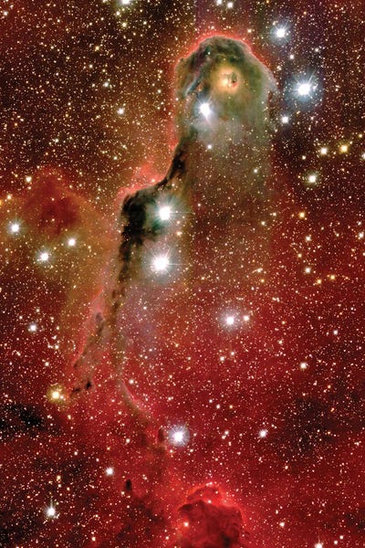 Science Photo Library: Emission Nebula IC 1396 by Science Photo Library