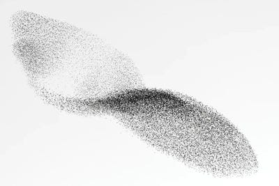 Science Photo Library - Canvas Prints: European Starling Flock by Science Photo Library