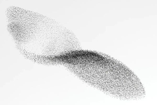 Science Photo Library: European Starling Flock by Science Photo Library