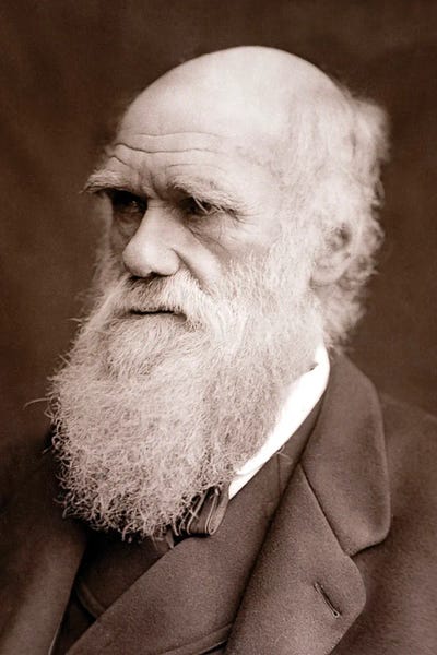 1877 Charles Darwin Portrait Photograph