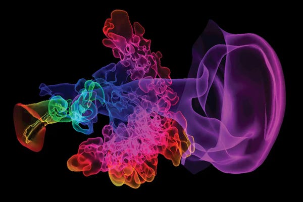 Human Ear, 3D CT Scan