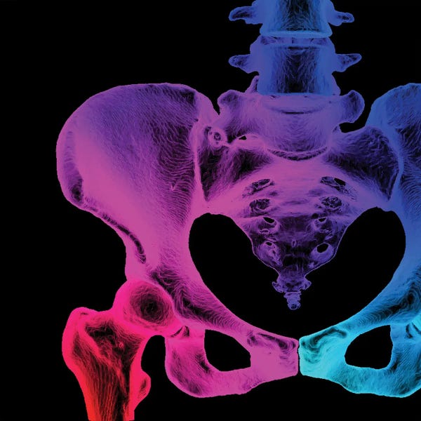 Science Photo Library: Normal Hip And Pelvis, 3D CT Scan by Science Photo Library