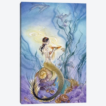 Mermaid Canvas Print #SLW107} by Stephanie Law Canvas Art Print